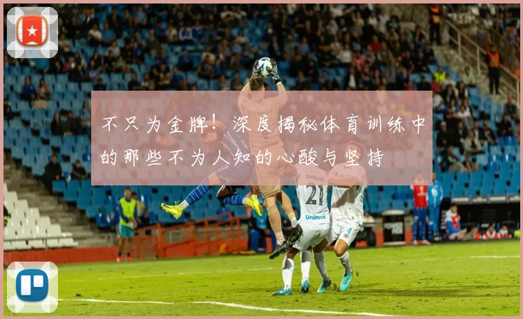 不只为金牌！深度揭秘体育训练中的那些不为人知的心酸与坚持